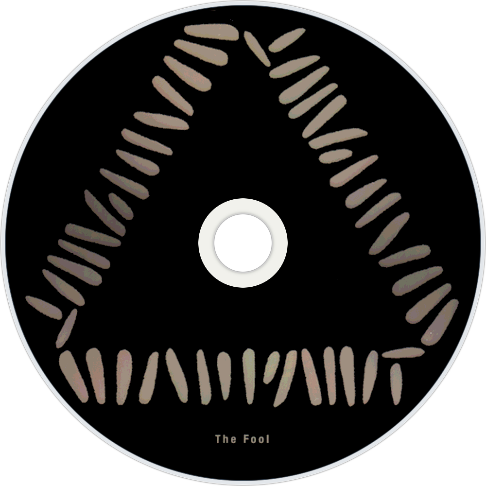 Warpaint The Fool Cd Disc Image - Warpaint Triangle (1000x1000), Png Download