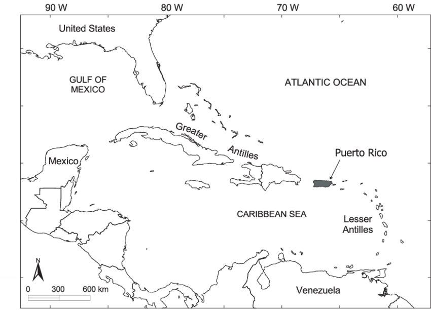Location Of Puerto Rico In The Caribbean Basin - Map Of The Caribbean (850x612), Png Download