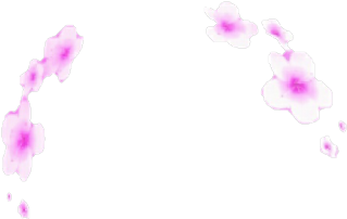 Transparent Texture Overlay Tumblr - Illustration (500x387), Png Download