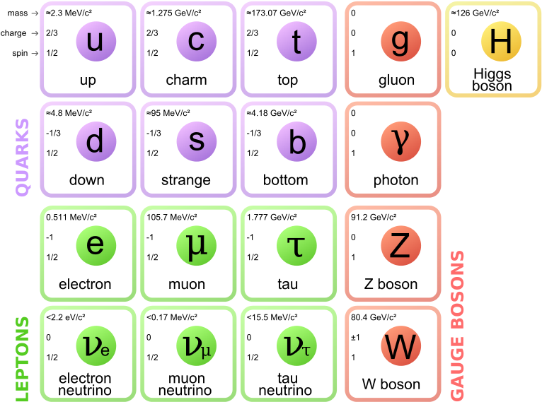 As Novas Medições Mostram Que Apenas Um Punhado De - Standard Model Of Particle Physics (774x581), Png Download