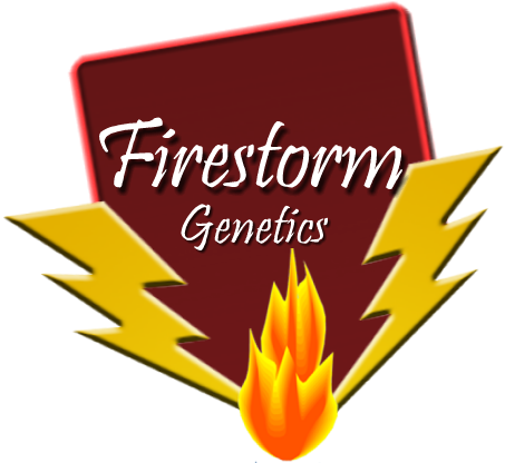 Shrimp Sale At The Crab Crib Magnet (560x421), Png Download