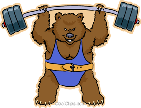 Weight Lifting Bear Royalty Free Vector Clip Art Illustration - Weightlifting Bear (480x369), Png Download