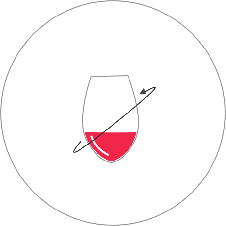 Just Look At Your Wine Glass - Wine (466x466), Png Download