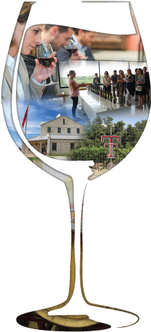 Contact Ttu - Champagne Stemware (325x552), Png Download