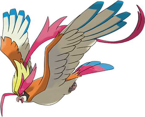 Pokémon Mega Pidgeot - Pokemon Pidgeot (480x480), Png Download