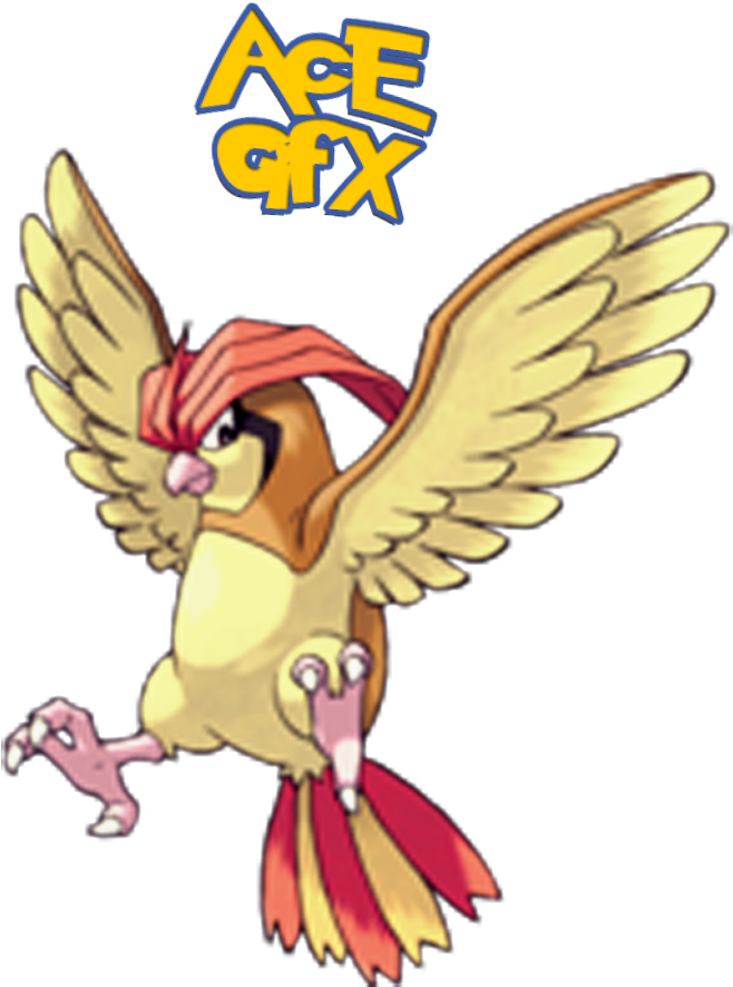 Photo Pidgeotto - Pokemon Pidgeotto (768x960), Png Download