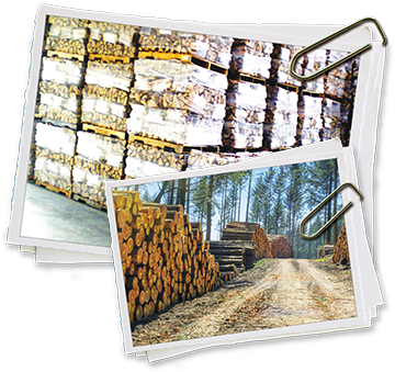Stacks Of Firewood - Firewood (360x339), Png Download