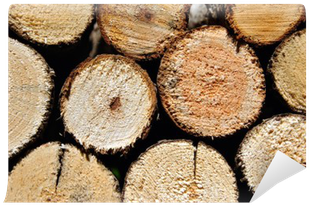Pile Of Round Stacked Logs For Firewood Wall Mural - Lumber (400x400), Png Download