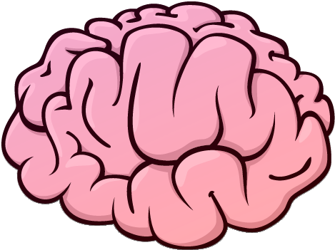 Cerebro Caricatura Png - Brain Icon (528x413), Png Download