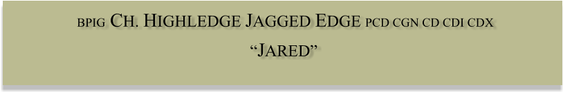 Highledge Jagged Edge Pcd Cgn Cd Cdi Cdx “jared” - Department Of Canadian Heritage (823x244), Png Download
