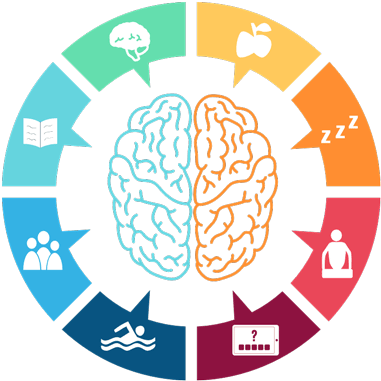 8 Áreas Que Hay Que Trabajar La Prevención Del Deterioro - Left And Right Brain Png (400x400), Png Download