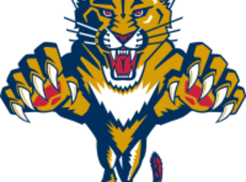 Aurora Panthers Midget Female Rep Hockey Team Fundraiser - Florida Panthers Logo (480x355), Png Download
