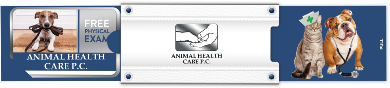 Render - Lion (1000x654), Png Download