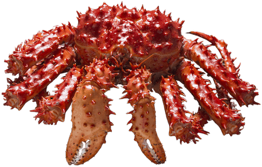 Fresh Crabs - Freshwater Crab (640x427), Png Download