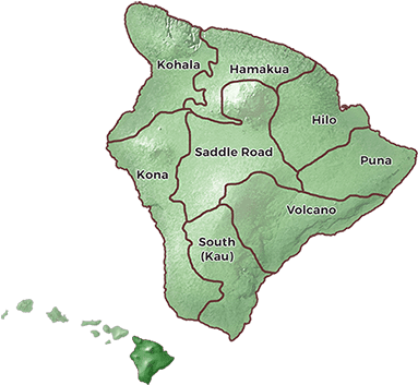 Big Island - Hawaiian Islands (450x369), Png Download