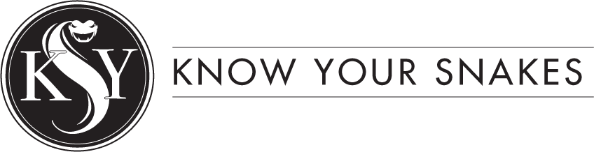 Picture - Line Art (848x218), Png Download