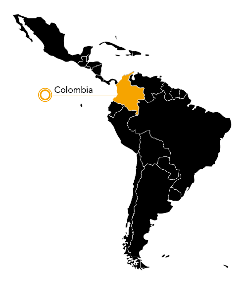 Cotton-top Tamarin Map - Cotton Top Tamarin Habitat Map (544x666), Png Download
