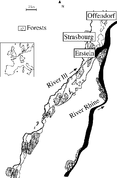 Map Of The Two Studied Areas Along The Rhine River - Strasbourg (374x568), Png Download