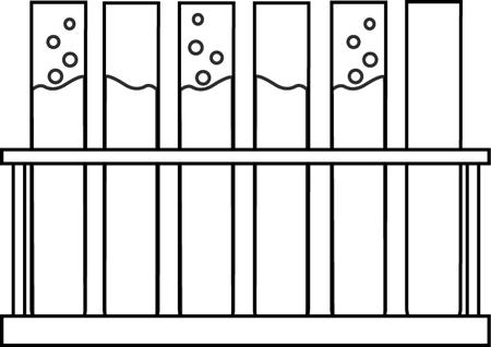 Black And White Test Tubes In A Holder - Budget Planner (450x318), Png Download