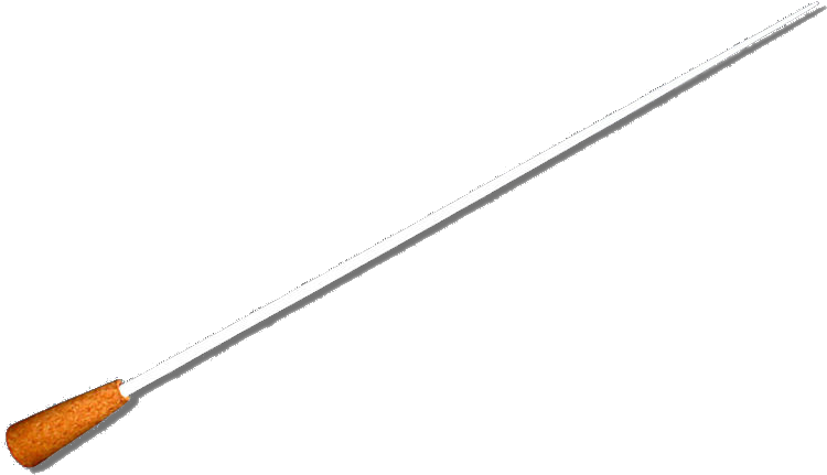 File - Taktstock - Baton (800x800), Png Download