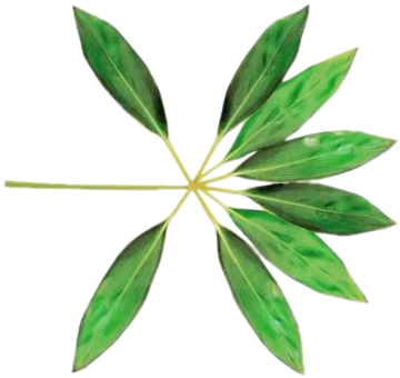 Exo Kokobop Png - Exo The War Album (601x587), Png Download