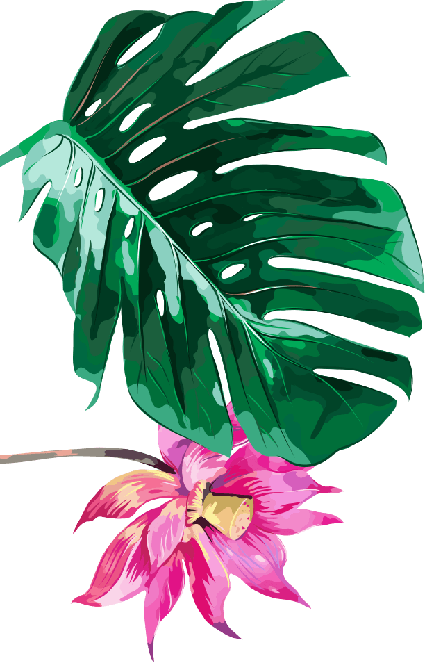 H1 Slide3 Img 5 - Sacred Lotus (612x954), Png Download