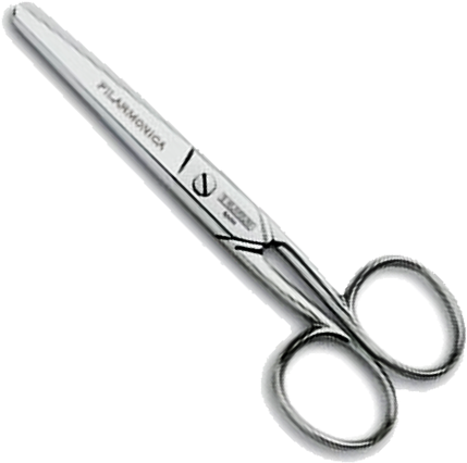 Tijera Romo Romo Recta De 14 Cms - Tijera De Punta Roma (500x500), Png Download