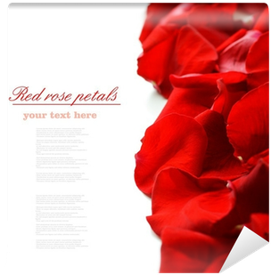 Mural (400x400), Png Download