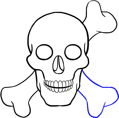 How To Draw A Skull - Drawing (678x600), Png Download