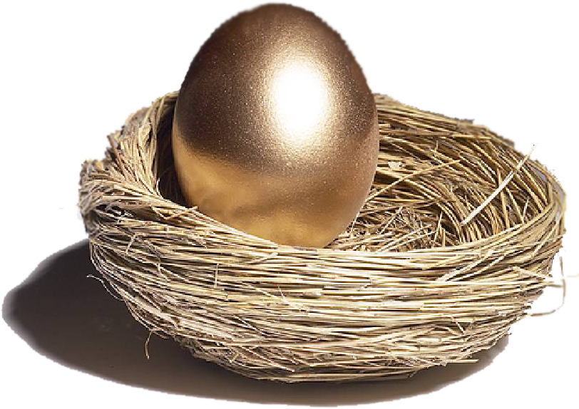 Graphic Freeuse Png Free Images Only Golden Egg X - Golden Egg Nest Png (812x574), Png Download