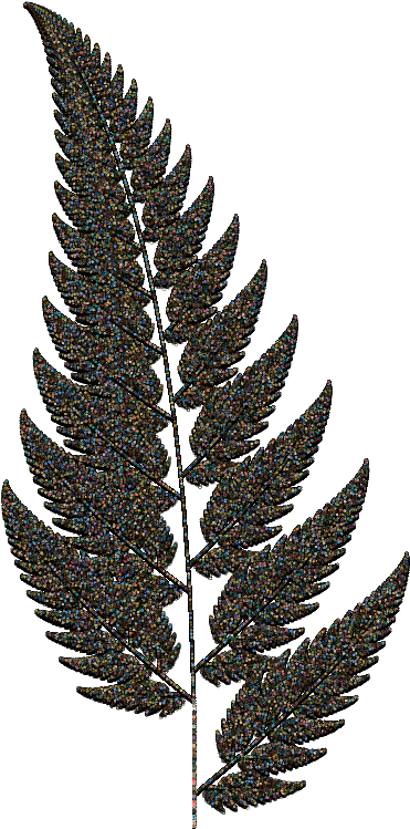 Fern4b - Pond Pine (600x800), Png Download
