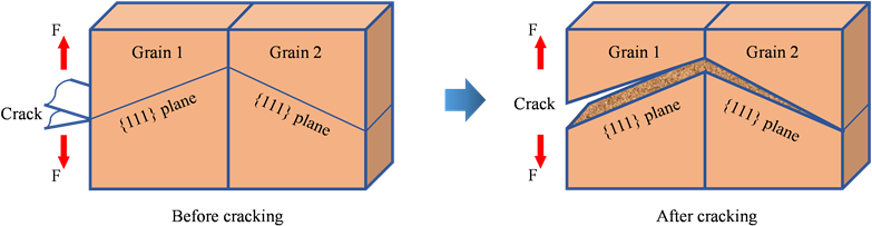 Crack Propagation Through Grains With Different Orientation - Science (903x203), Png Download