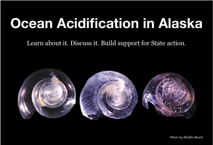 Over 100 Interested Citizens, Stakeholders And Experts - Ocean Acidification In Alaska (900x638), Png Download