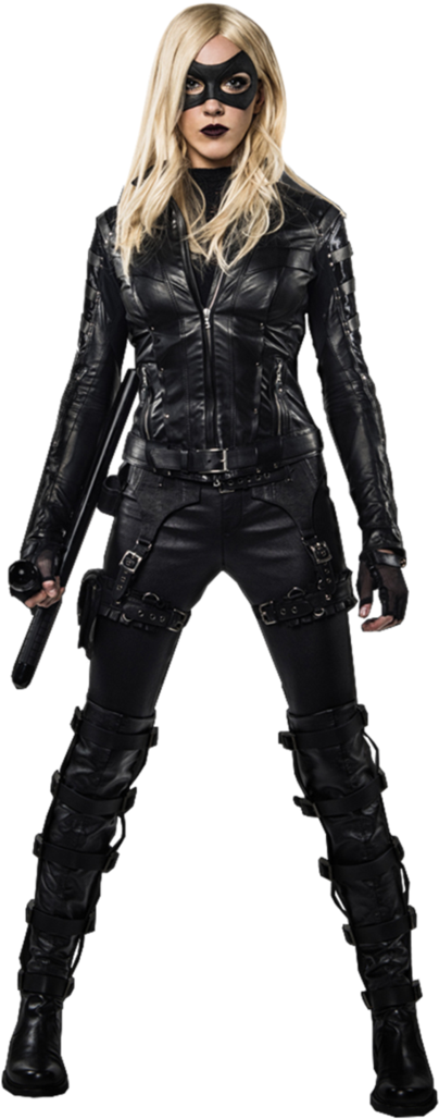 Canarioerurru - Black Canary Arrow Png (730x1094), Png Download