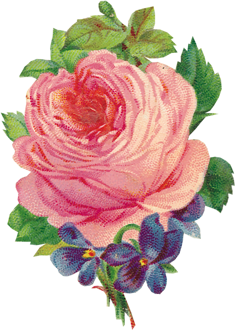 Flores Png - Schöne Rosa Vintage Rosehübscher Violetter Sprig Mauspad (500x708), Png Download