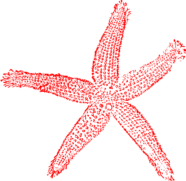 Starfish And Coral, Starfish, Coral, Hand Painted Png - Star Fish Png Red (600x585), Png Download
