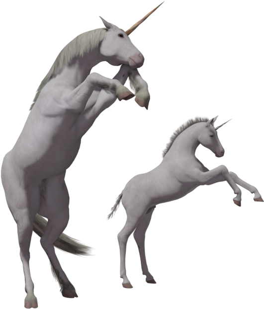 Download - Unicorn Foals Transparent Background (1024x645), Png Download