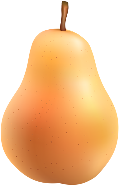 Pear Png Clip Art Image - Asian Pear (382x600), Png Download