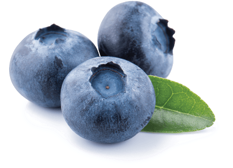 Blueberry - Summertime Ice Cream (500x359), Png Download