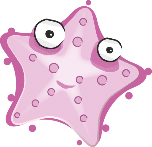 Starfish,sea,fun,little - Gambar Bintang Laut Animasi (500x483), Png Download