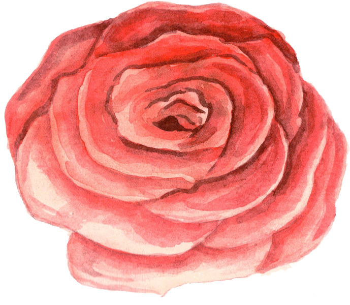 Watercolour Flowers Watercolor Painting Stock Photography - Watercolor Painting (700x599), Png Download