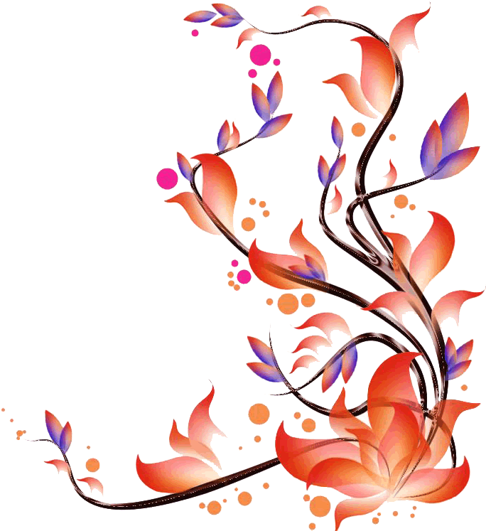 Go To Image - Transparent Floral Vector Png (1024x768), Png Download