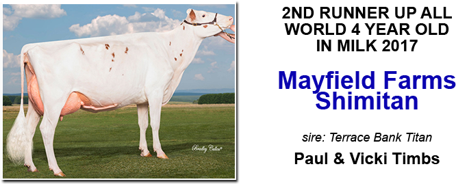 Selling At The Leading Edge Genetics Sale March 20th (800x300), Png Download