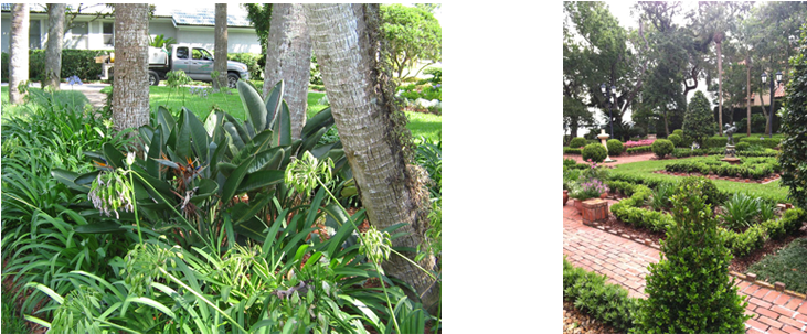 Lawn (908x317), Png Download