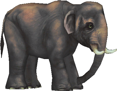 Bornean Pygmy Elephant - Pygmy Elephant (501x367), Png Download