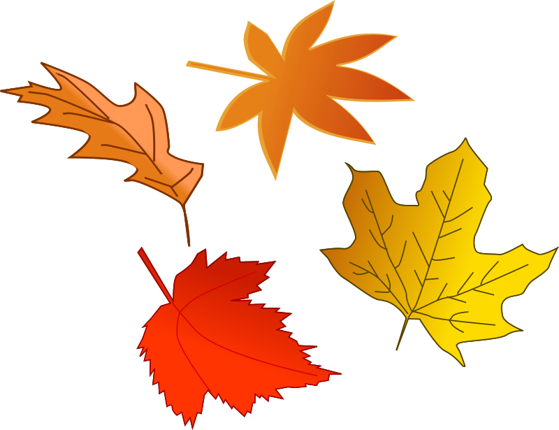 Illustration Of Colorful Autumn Leaves - Leaves Clipart (400x307), Png Download