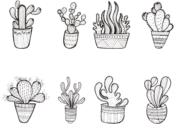 Cactus Png Photo - Cactus (626x479), Png Download