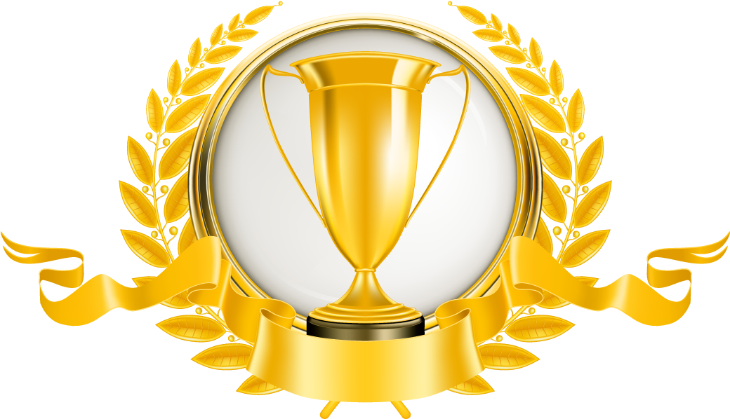Thirion Apparel Supply And Sell Trophies And Medals - Awards And Achievements Logo (1039x650), Png Download