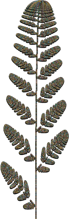Fern3 - Ostrich Fern (600x800), Png Download