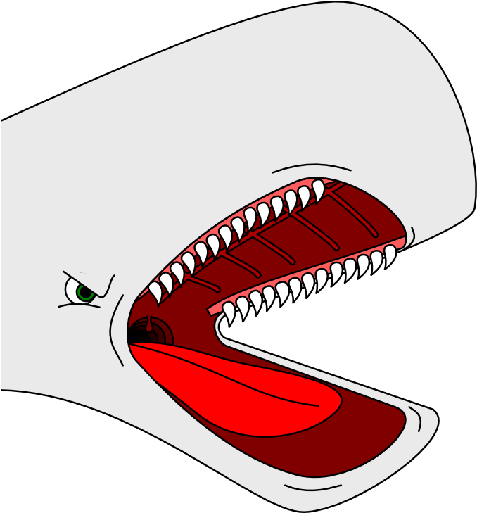 Stereotyped Cartoon Whale Head By Arek-91 On Clipart - Transparent Whale Head (687x748), Png Download